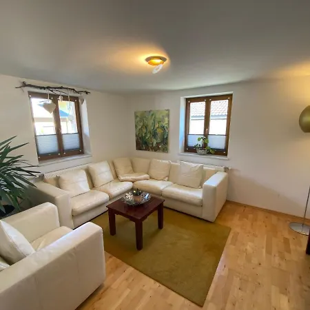 Zentral Gelegene In Apartamento